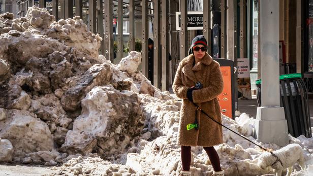 New York, qui traverse une vague de froid exceptionnelle, déplore 13 morts d'hypothermie