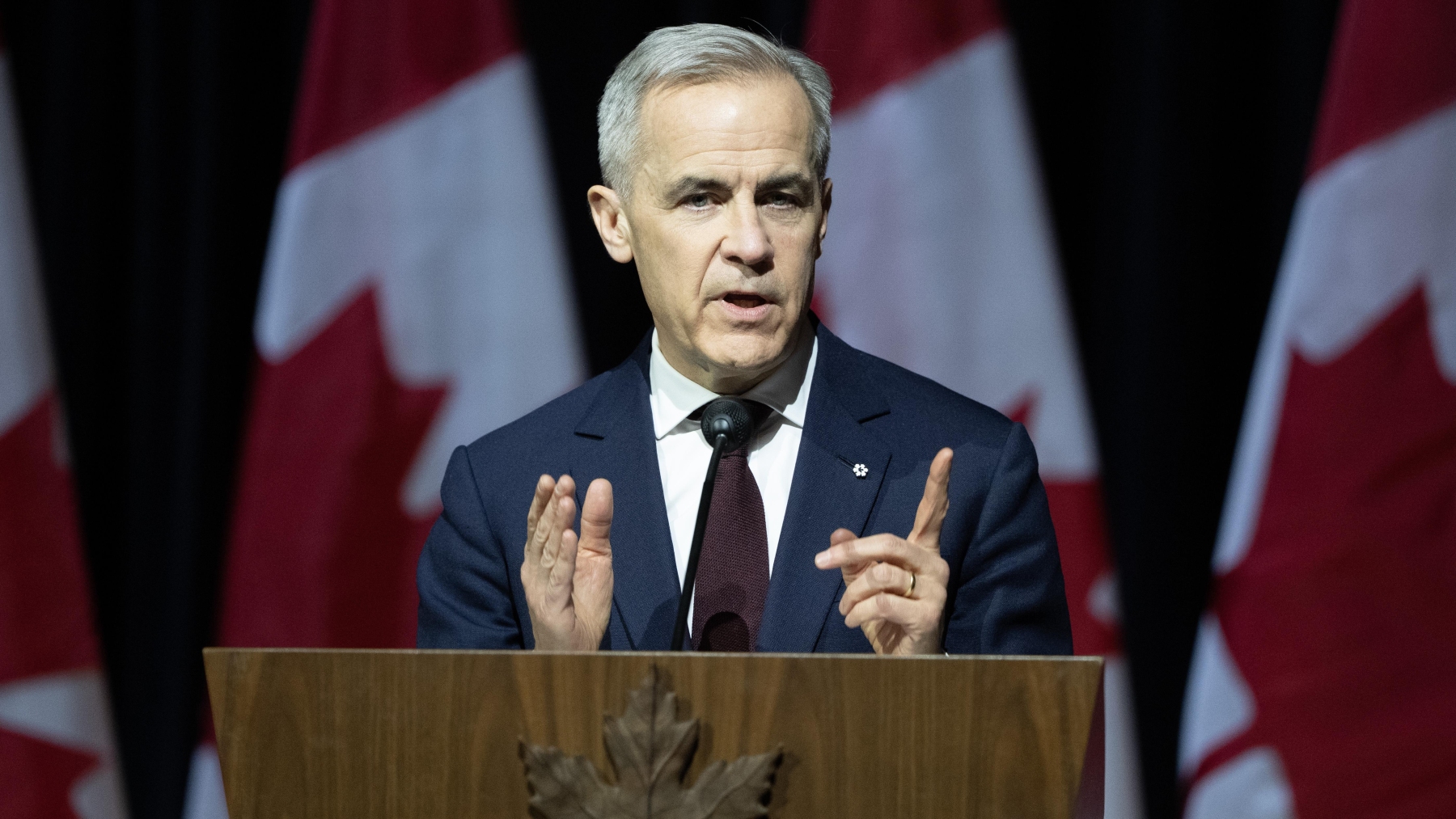 Les liens économiques avec les États-Unis sont désormais une « faiblesse », a affirmé le premier ministre Mark Carney. (Photo d'archives)  Photo : La Presse canadienne / Adrian Wyld