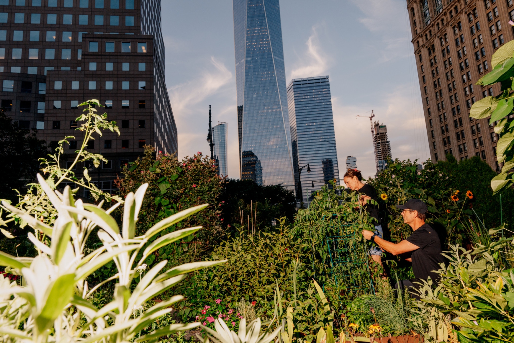 25 Years After the Sept. 11 Attacks, Lower Manhattan Is Thriving