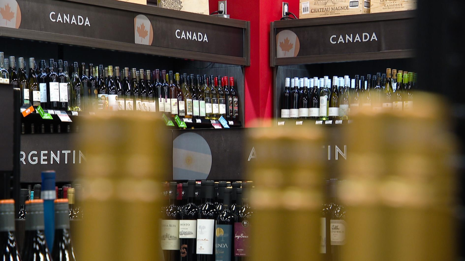 Des bouteilles de vin canadien dans un magasin d'alcool de Regina, en Saskatchewan, le 13 août 2026.  Photo : Radio-Canada / Germain Wilson