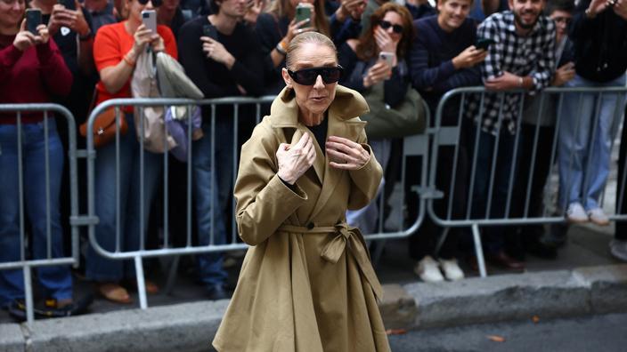Cette raideur, dont souffre Céline Dion, touche de nombreux muscles, l’impact sur la voix, a fortiori le chant, est très important. Abdul Saboor / REUTERS